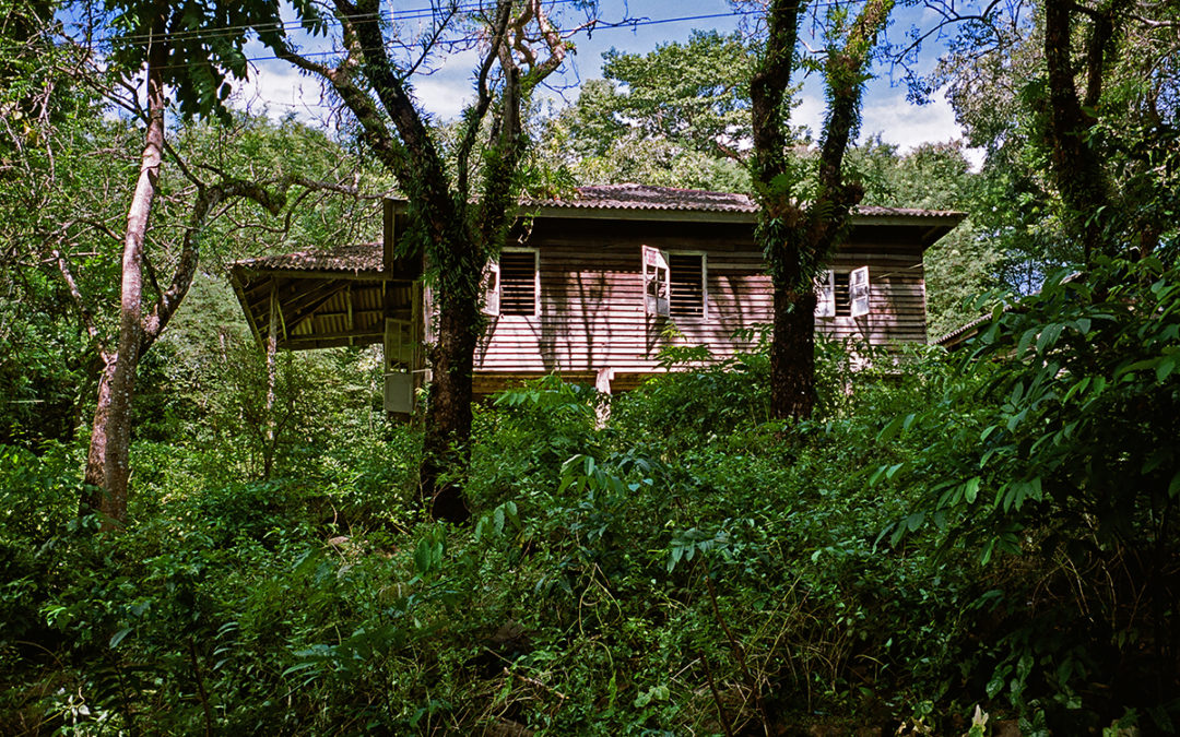 Domy zapomniane – Andamany